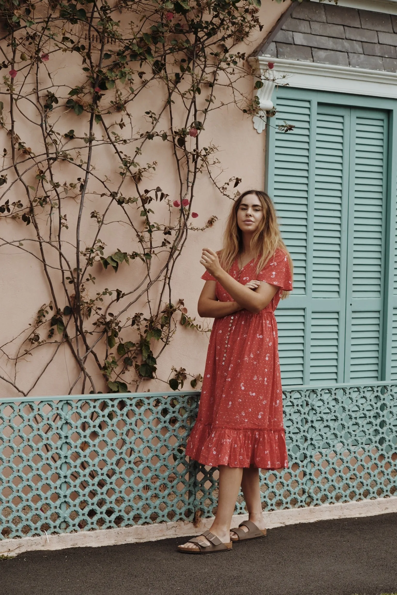 DULCIE DRESS RED COSMOS FLORAL