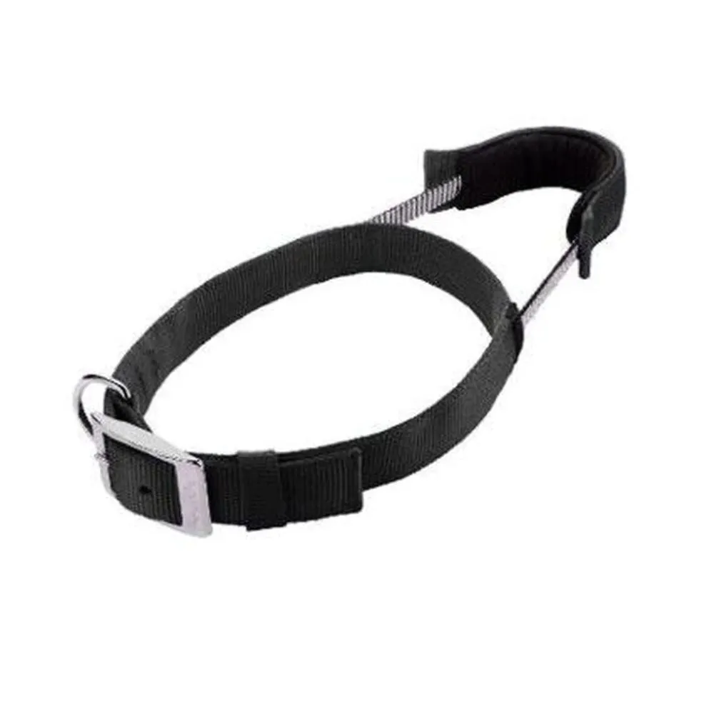 Patento Basic Dog Collar with Quick Grab Integrated Handle
